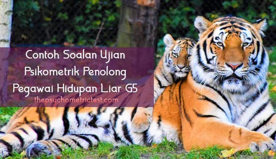 contoh soalan ujian psikometrik penolong pegawai hidupan liar g5
